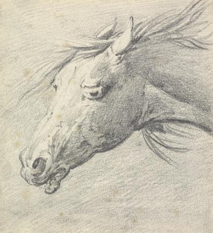 Henry Thomas Alken Head and Neck of a Horse, Profile Left