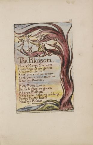 Songs of Innocence and of Experience, Plate 20, "The Blossom" (Bentley 11)
