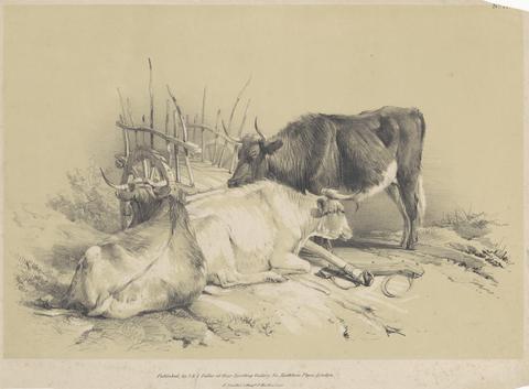 unknown artist Three Oxen and a Cart