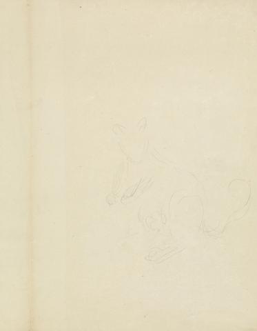 James Sowerby Slight Sketch of a Kangaroo