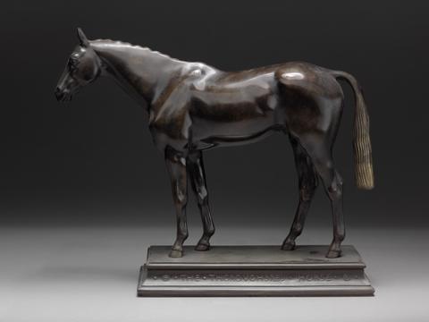 Herbert Haseltine The Thoroughbred Horse: Composite Type