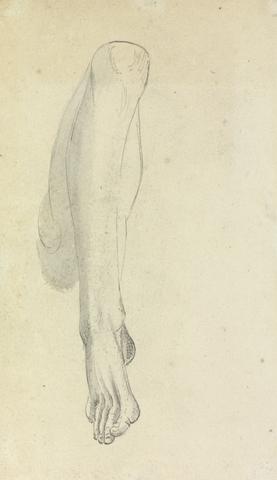 Benjamin Robert Haydon Anatomical Study of a Leg