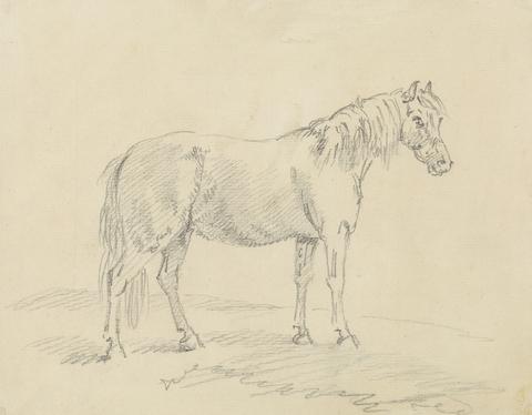 Sawrey Gilpin Standing Horse
