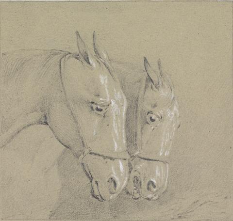 Henry Thomas Alken Heads and Necks of Two Horses Wearing Bridles, Right Profiles