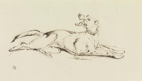 unknown artist Hound Lying Down Snarling