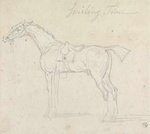 James Seymour Smiling Tom, Saddled and Bridled: Standing, Facing Left