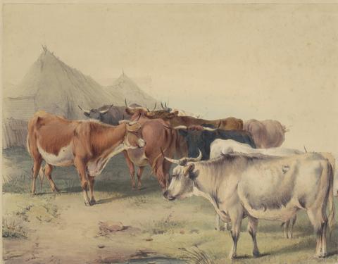 unknown artist A Herd of Cattle