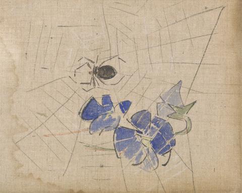 A Spider and Web with Blue Flowers