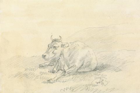 Sawrey Gilpin Cow Lying Down