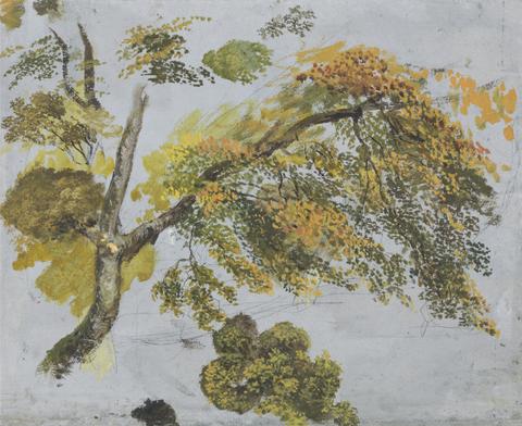 John Linnell Tree Study (Autumn Foliage)