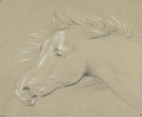 Henry Thomas Alken Head and Neck of a Frightened Horse, Left Profile