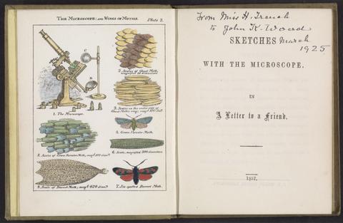 Ward, Mary, 1827-1869, author, illustrator. Sketches with the microscope :