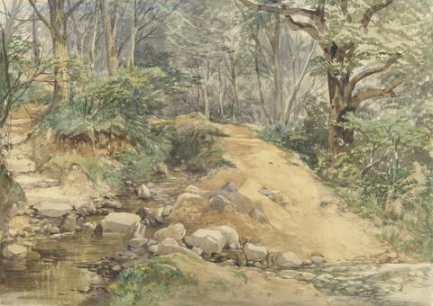 John Middleton Woodland Scene with a Path Across a Stream