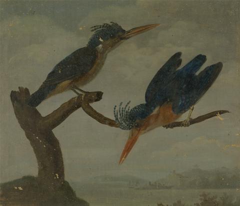 James Sowerby Two Kingfishers beside a Lake