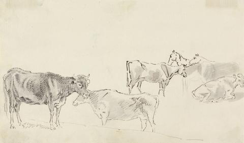 Study of cattle with horses in the background