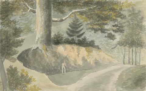 Edward Francis Burney Road in the Forest
