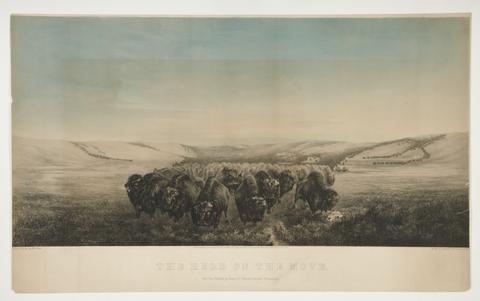 William Jacob Hays Sr., The Herd on the Move, ca. 1862