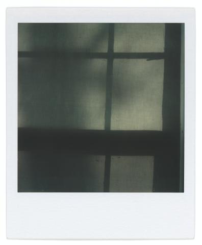 Walker Evans, Untitled [Tree Shadow on Shade in Window], 1973–74