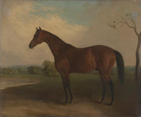 Edward Troye, Sovereign, 1840