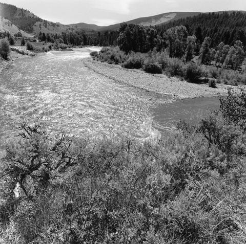 Lee Friedlander, Gros Ventre River, Wyoming, 2000