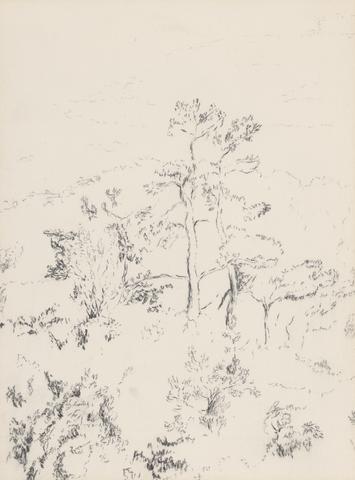 Myron Stedman Stout, Tree Sketch, 1957