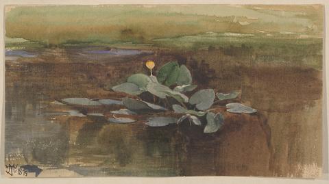 Thomas Moran, Study of a Water Lotus, 1879