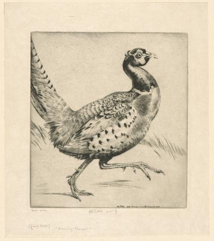 Emerson Tuttle, Running Pheasant, 1931