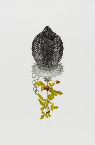 Joscelyn Gardner, Trichilia trifoliate (Quamina), from the suite, Creole Portraits III: "bringing down the flowers", 2011