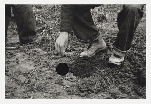 Bill McDowell, Planting locust root cutting, Natchez Trace Project, Tennessee, 1936, Carl Mydans, 8a01547, from the portfolio Ground, 2014