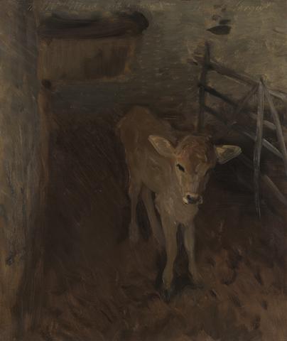 John Singer Sargent, A Jersey Calf, 1893