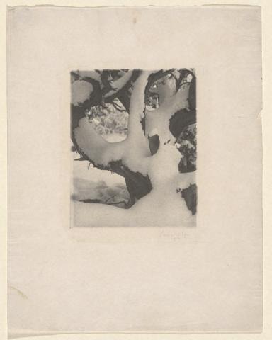 Laura Gilpin, A Study in Black and White, 1919