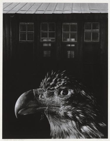 Jerry Uelsmann, Bless Our Home and Eagle, 1962