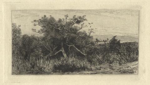 Robert Swain Gifford, Gnarled Tree, late 19th–early 20th century