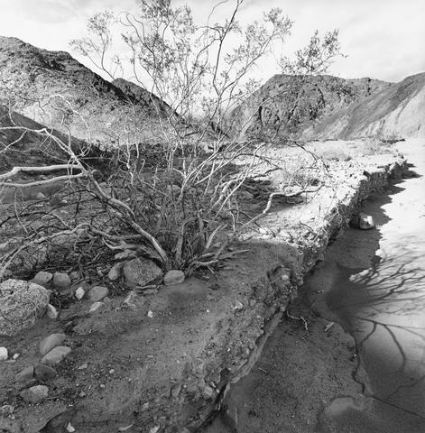 Lee Friedlander, Death Valley National Park, California, 2004