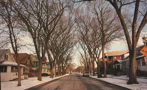 Esther Parada, Untitled [Suburban street], from When the Bough Breaks, 2004