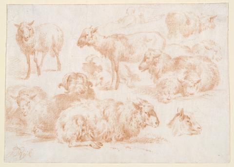 James de Rijk, Studies of Sheep, 19th century
