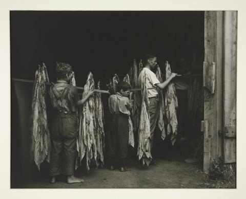 Lewis W. Hine, Tobacco Workers, 1916