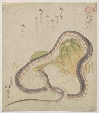 Totoya Hokkei, Snake entwined with gourds (Chomonjū; abbreviation for the Kokon Chomonjū), 1821 (year of the snake)