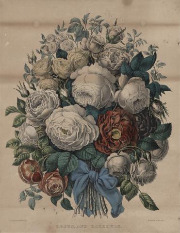Currier & Ives, Roses, and Rosebuds, 1862