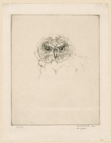Emerson Tuttle, Nantucket Owl, 1923