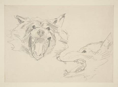 John Singer Sargent, Two Views of a Wolf's Head, n.d.