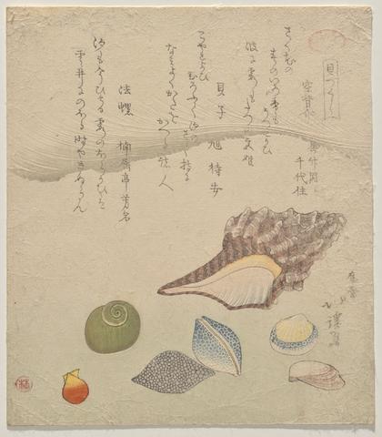Totoya Hokkei, Seven Shells at the Edge of the Sea, from the series Shells Compendium (Kaizukushi), 1821 (Year of the Snake)