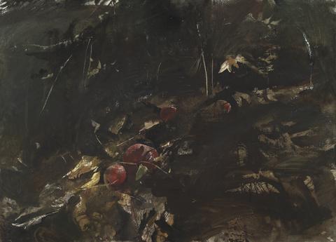 Andrew Wyeth, Windfalls, 1957