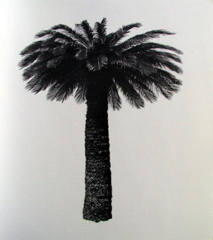 Ed Ruscha, A FEW PALM TREES, 1971