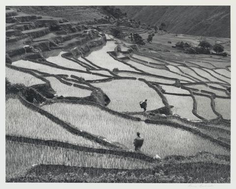 Kevin Bubriski, Rice Fields at Okre Village, Nuwakot District, Nepal, 1984
