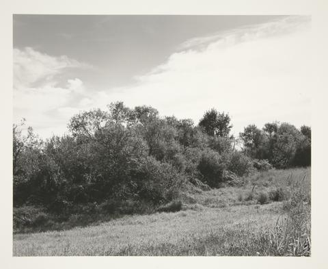 Robert Adams, Tree lines at the edge of crop land, the Coquille River valley, Coos County, Oregon, 1999–2003