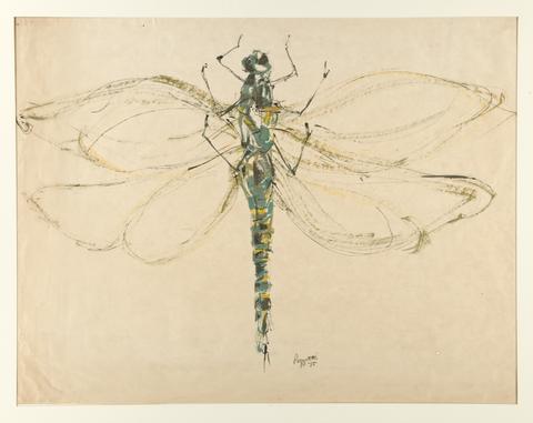 Rudy O. Pozzatti, Untitled (Dragonfly), 1955