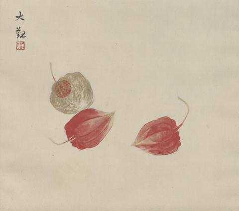 Yokoyama Taikan, Three Lantern Cherries (Ho'ozuki), 2nd quarter of the 20th century