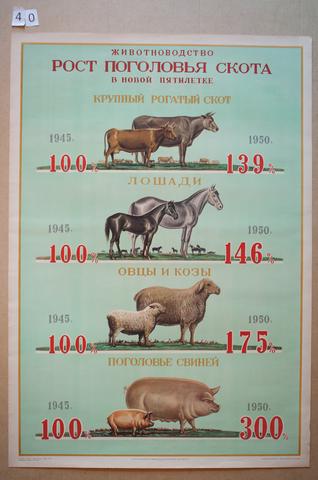 I. P. Pogozhev, Zhivotnovodstvo rost pogolov'ia skota v novoi piatiletki (Livestock in the New Five-Year Plan), 1946