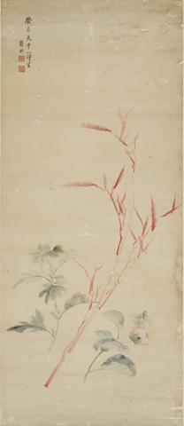 Jiang Ding, Plants for the May 5th Festival, 1763